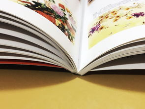 成都百鉑文化 專業(yè)打造家具家居產(chǎn)品宣傳畫冊(cè)，賦能品牌形象